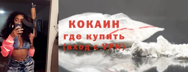 гидра Волоколамск