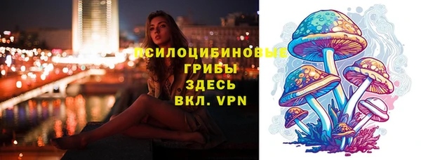 винт Володарск