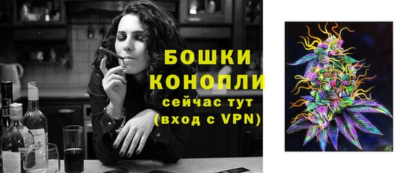 соль ск Верея